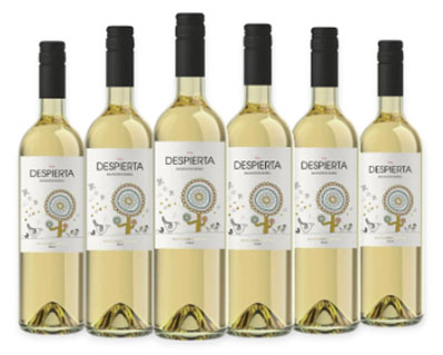 <p>Despierta Sauvignon Blanc White</p>
